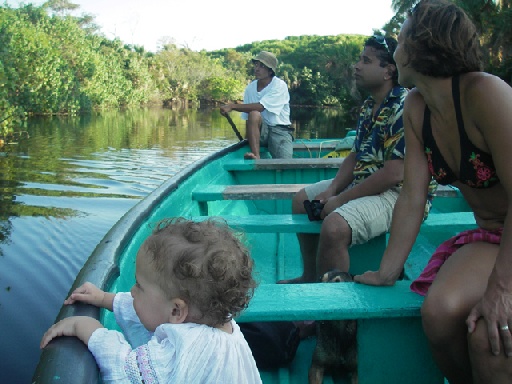 touring the mangroves